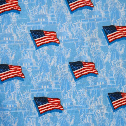 Liberty Flag Swim Trunks