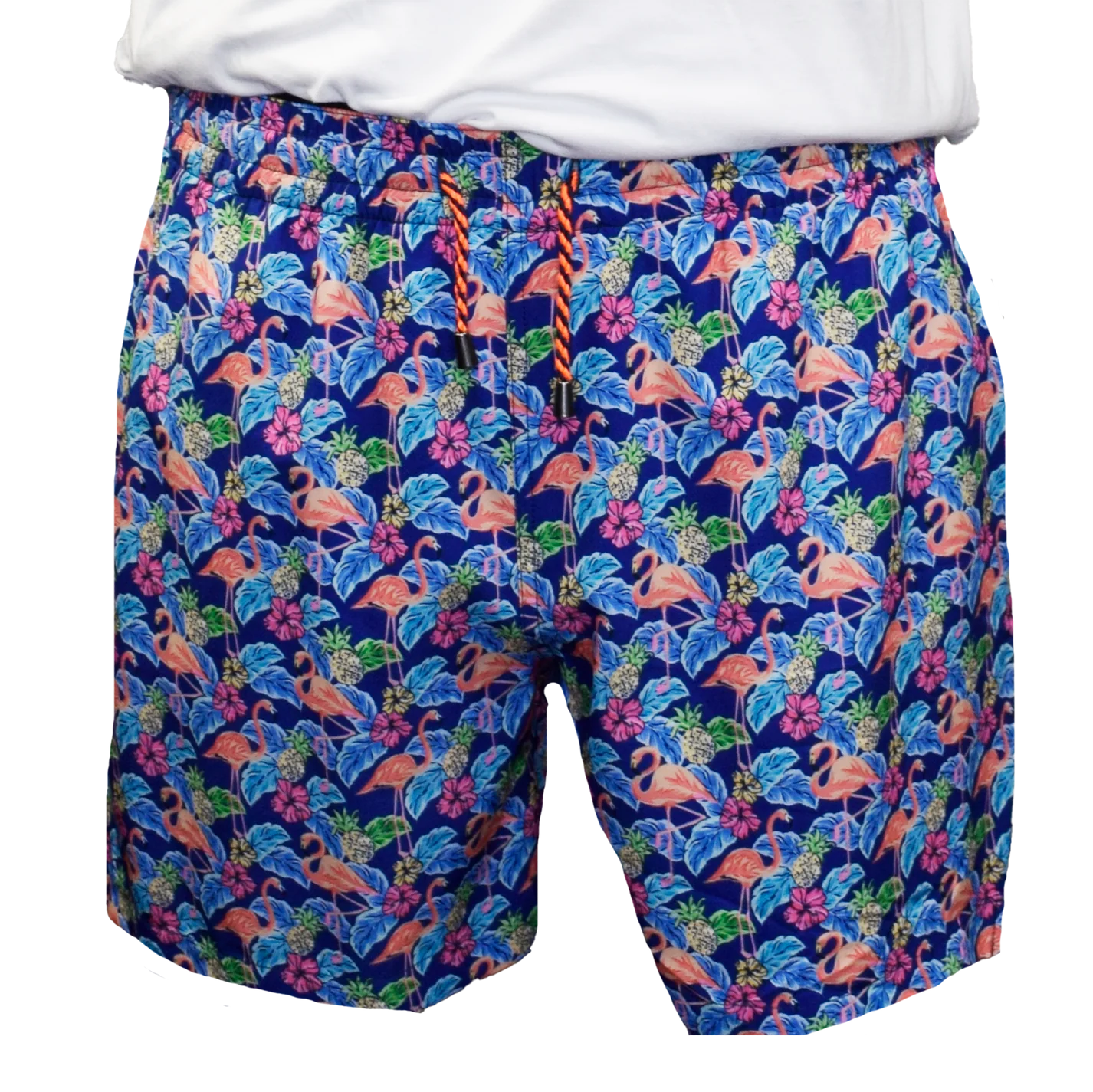 Flamingo Swim Trunks