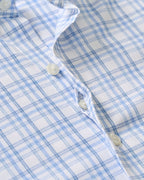 Rafael Everyday Performance Button Down